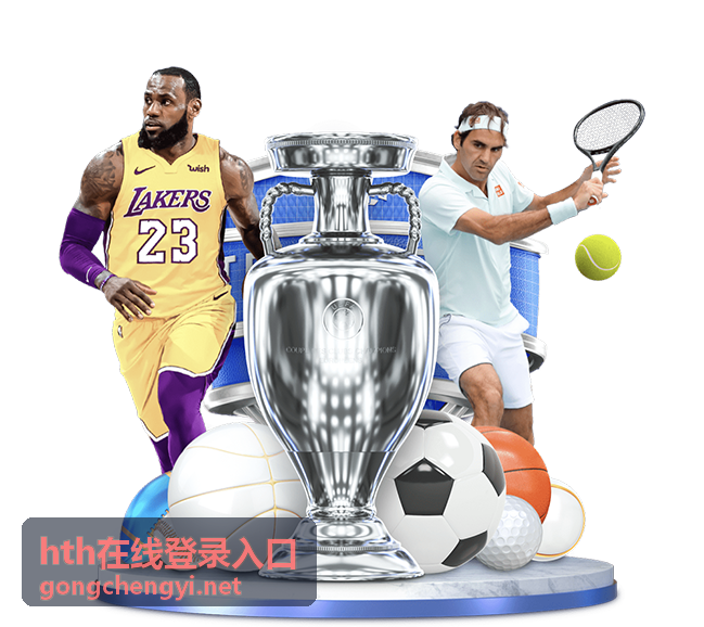 hth在线登录入口的设备与网络环境确认示意