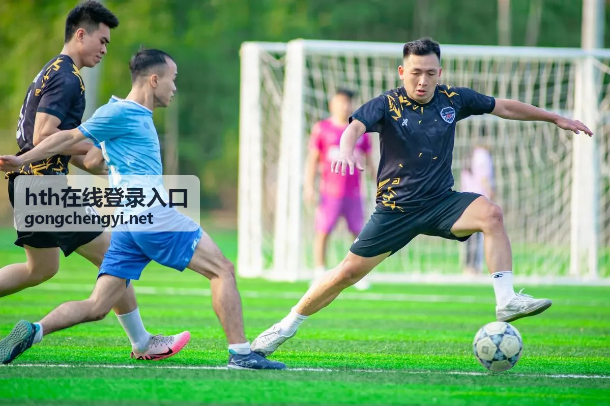 整理 hth在线登录入口开通所需资料的操作场景